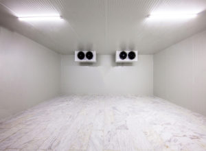 Camaras Frigorificas y Cuartos Frios