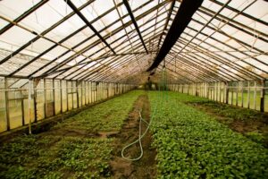 Comparativa_ Chapas de acero galvanizadas vs chapas de policarbonato